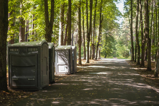 Best Porta potty rental near me  in Monte Vista, CO